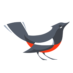 Redstart Interactive